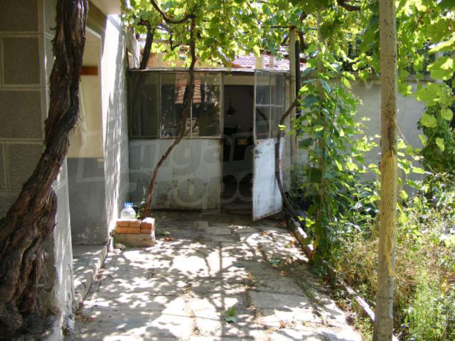 Gallery Picture 24
