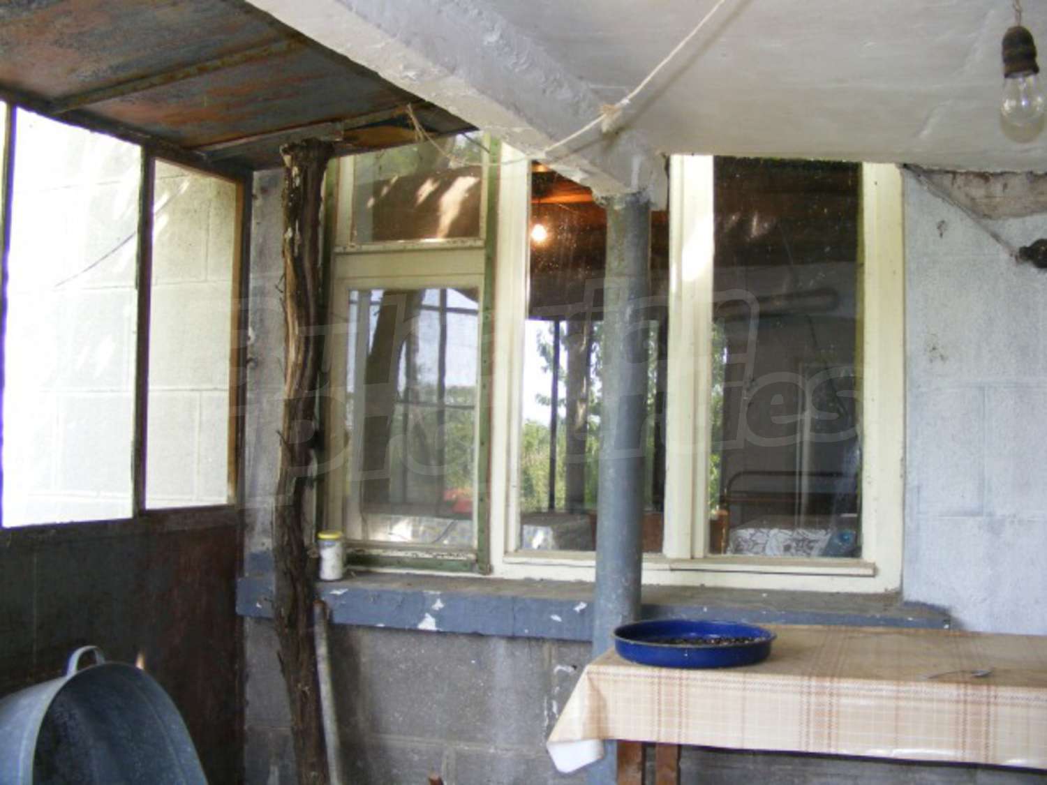 Gallery Picture 26