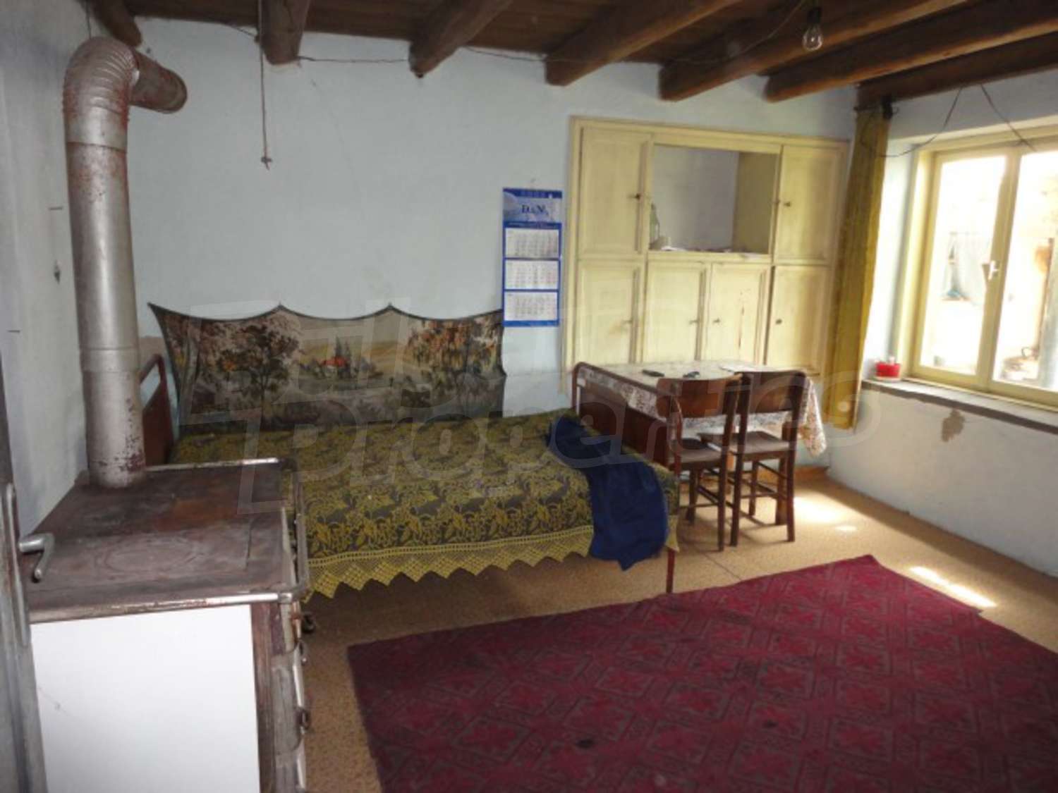 Gallery Picture 6