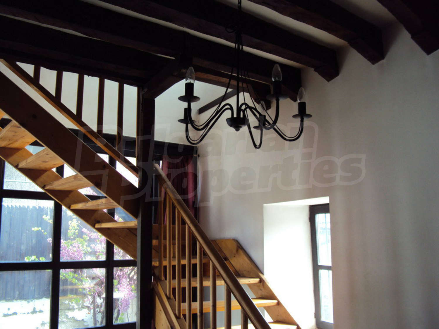 Gallery Picture 28