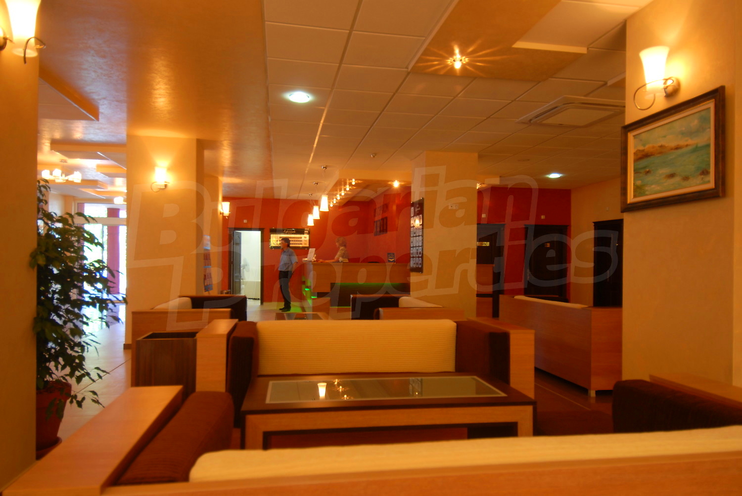 Gallery Picture 9