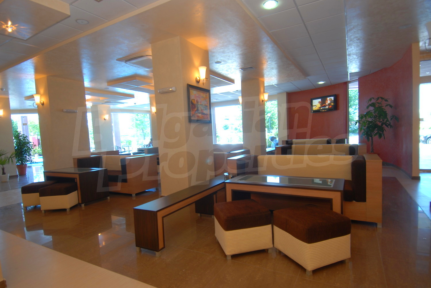Gallery Picture 11
