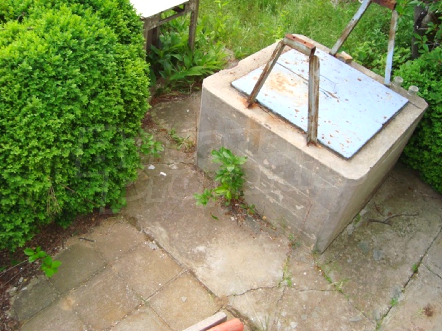 Gallery Picture 8