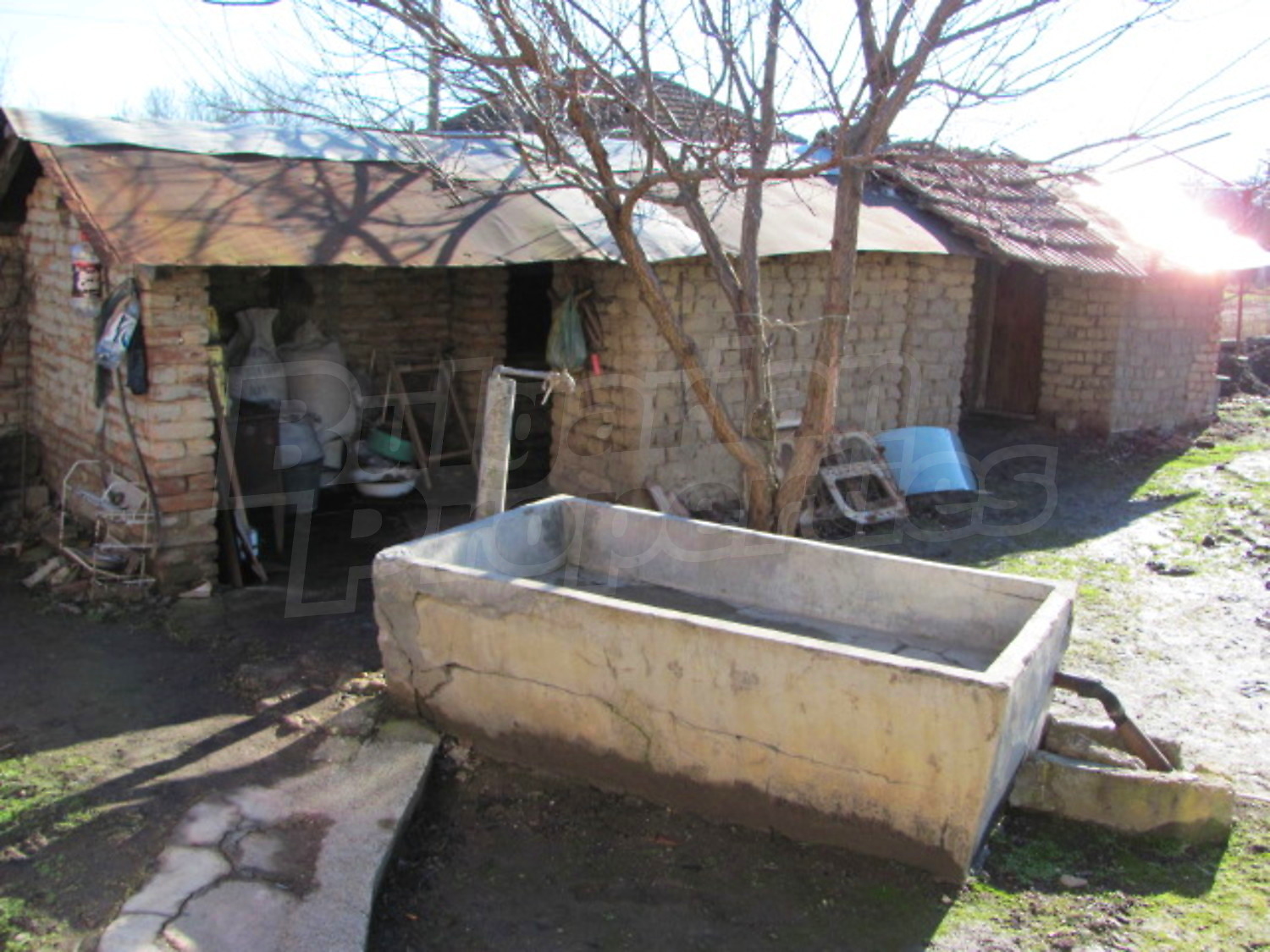 Gallery Picture 10