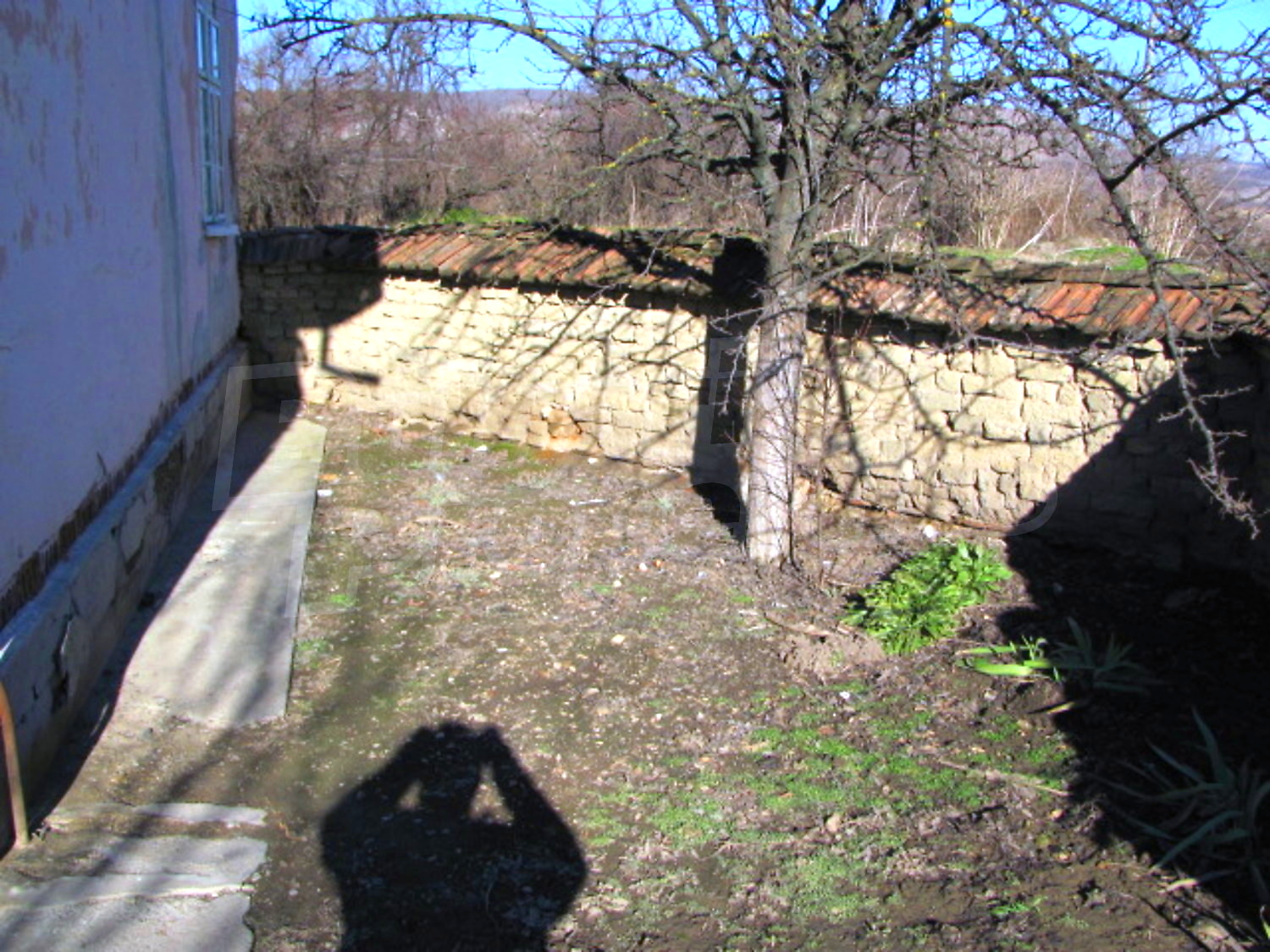 Gallery Picture 11