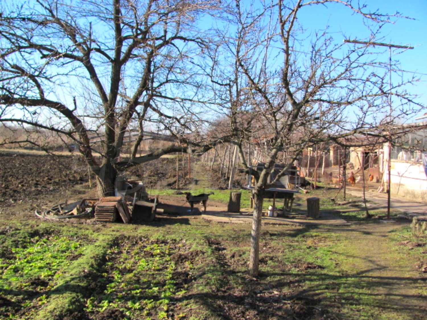 Gallery Picture 15