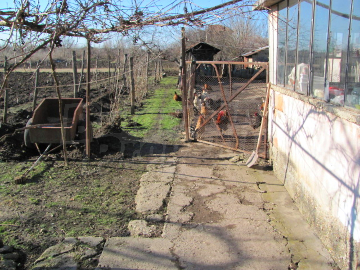 Gallery Picture 16