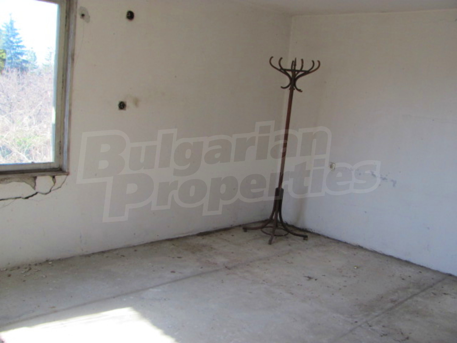 Gallery Picture 4