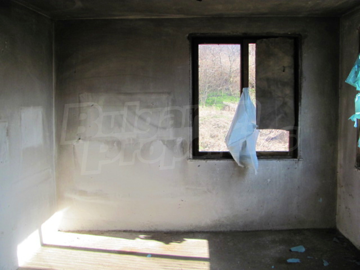 Gallery Picture 8