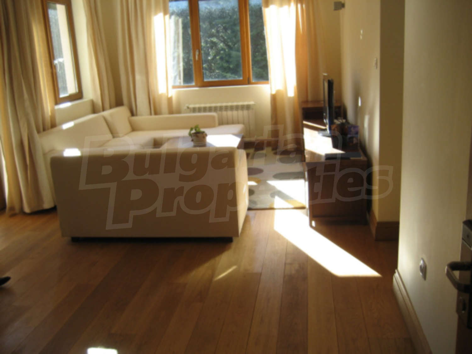 Gallery Picture 14