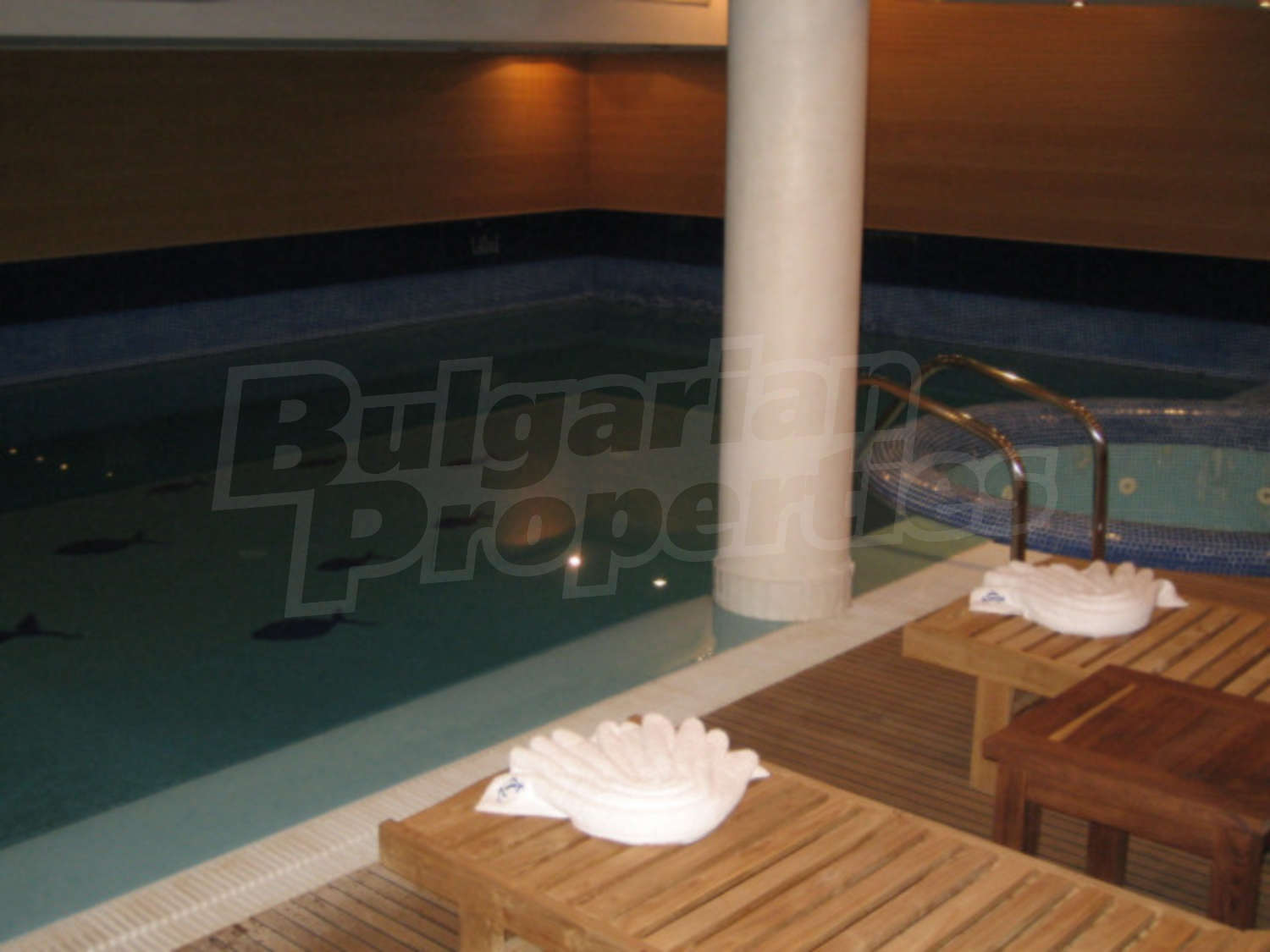Gallery Picture 21