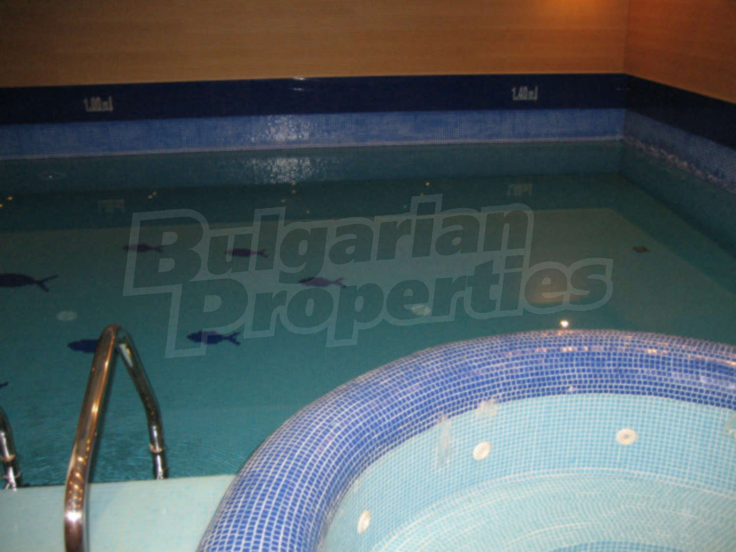 Gallery Picture 22