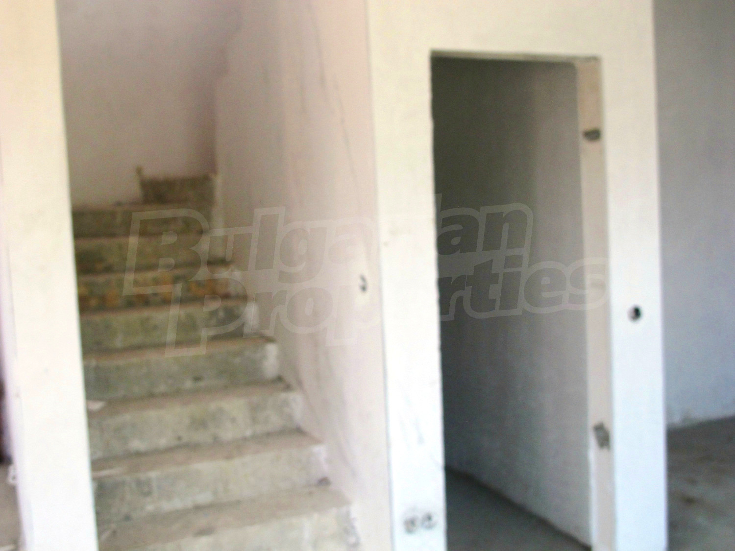 Gallery Picture 10