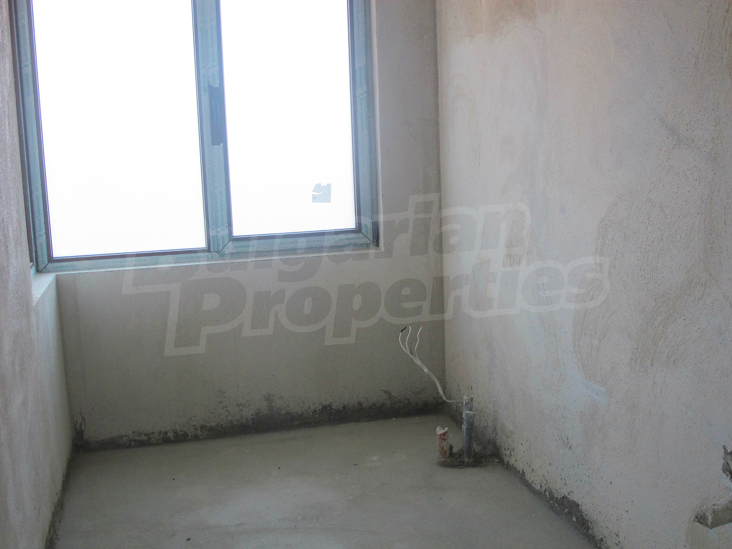 Gallery Picture 23