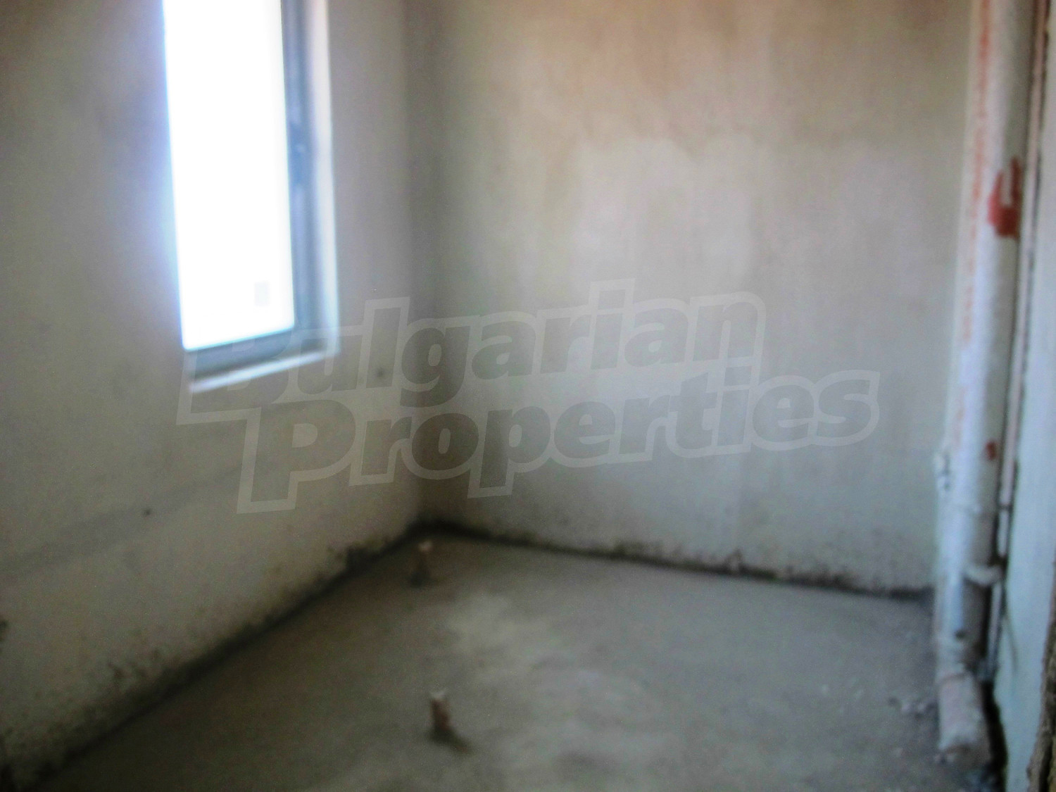 Gallery Picture 25