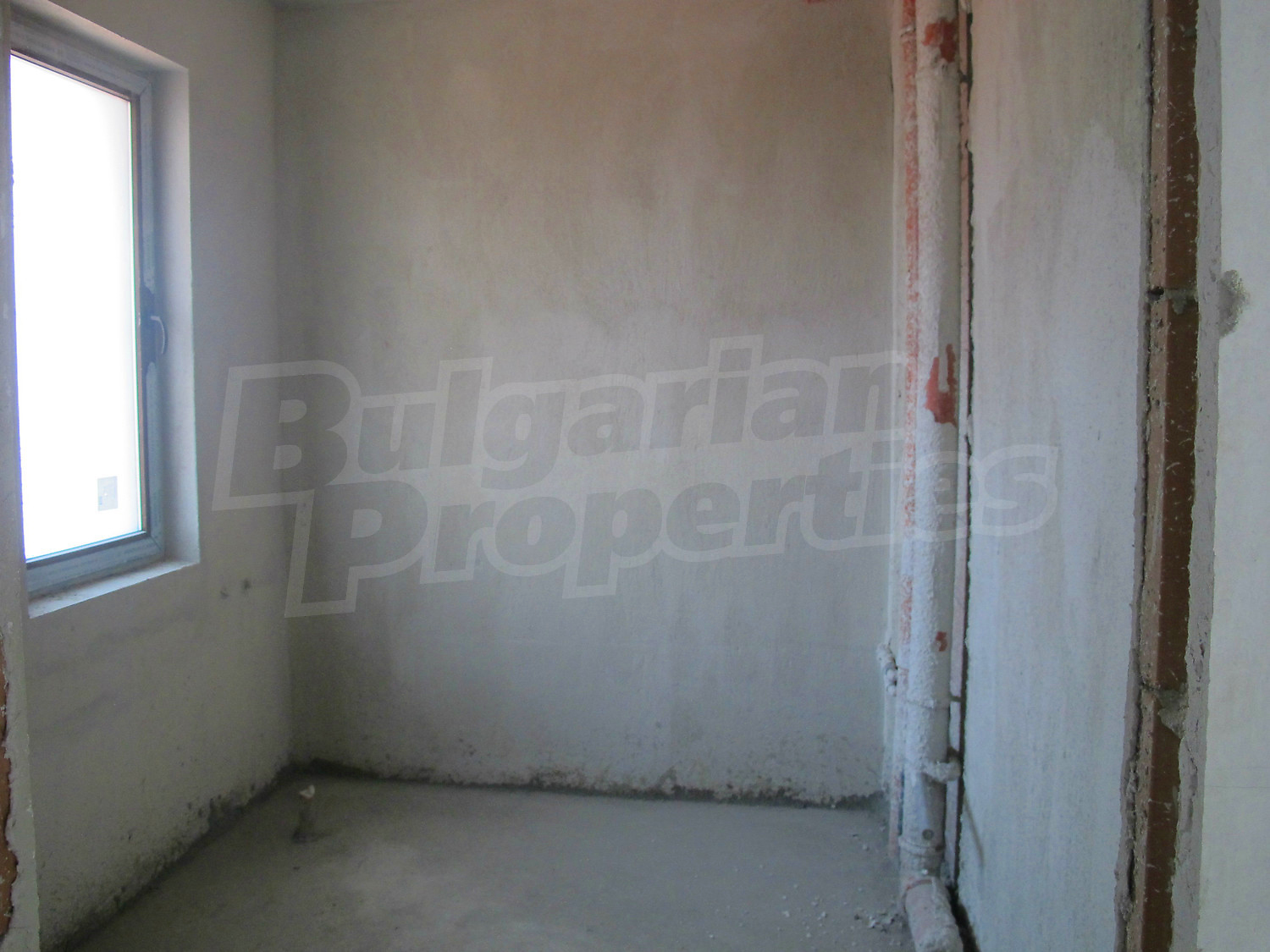 Gallery Picture 26