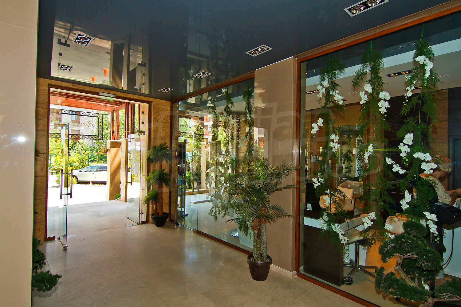 Gallery Picture 13