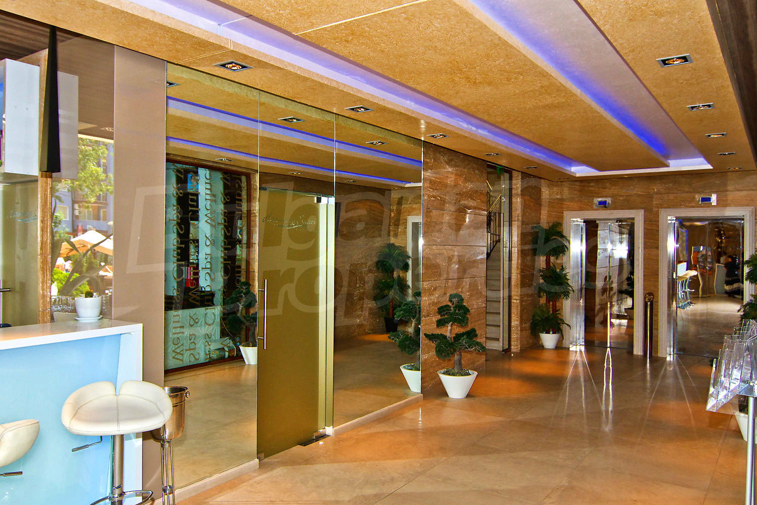 Gallery Picture 16