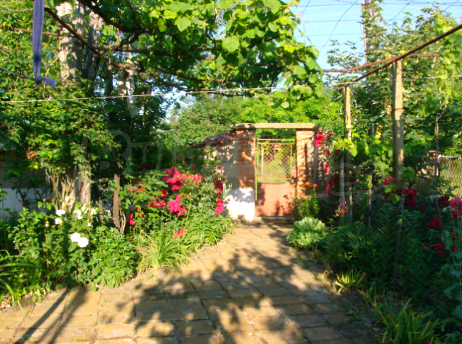 Gallery Picture 14