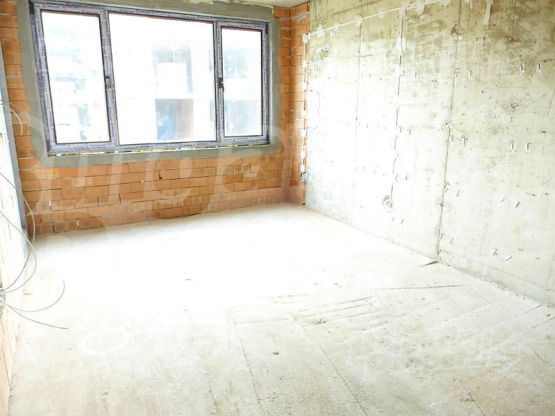 Gallery Picture 11