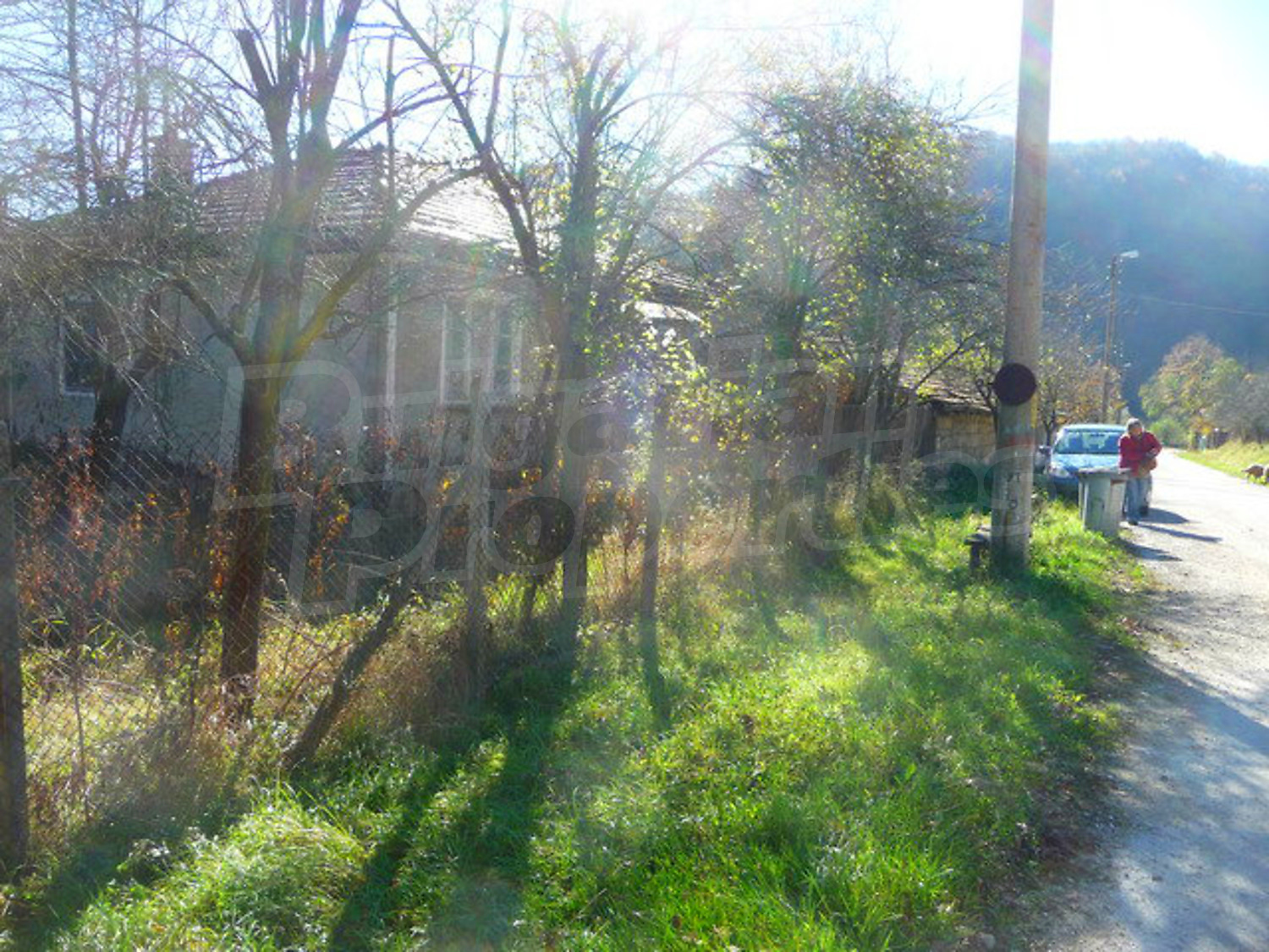 Gallery Picture 18