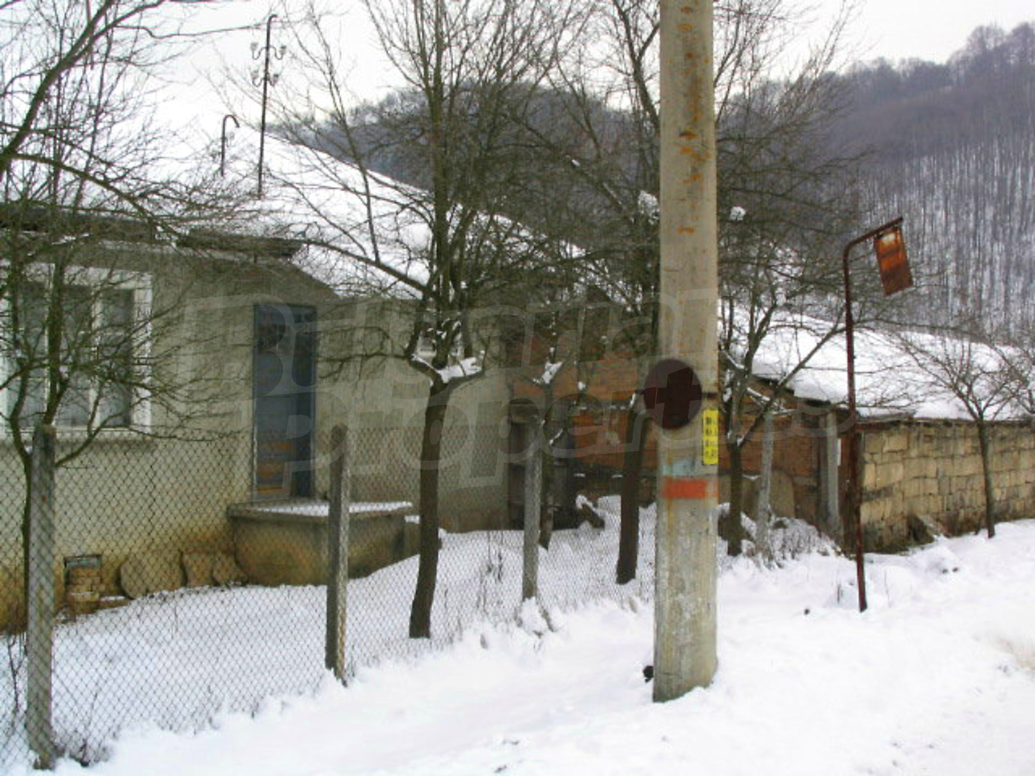 Gallery Picture 25