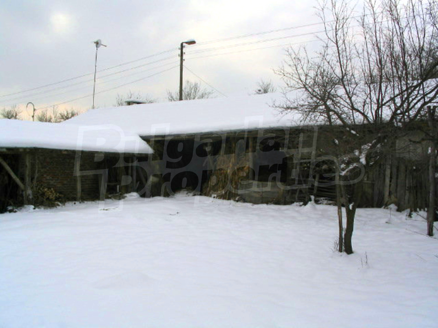 Gallery Picture 27