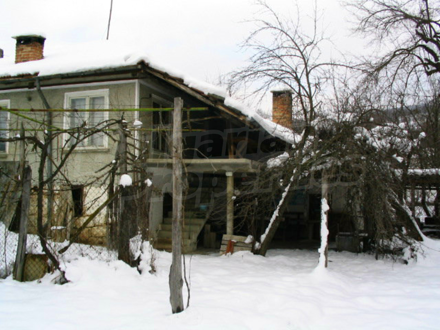 Gallery Picture 29