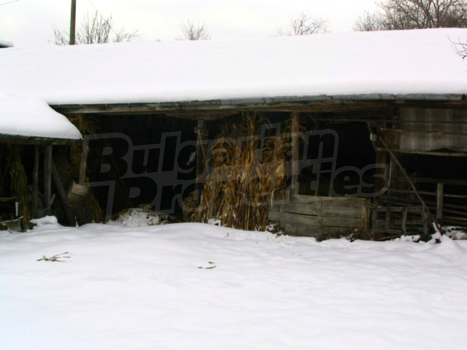 Gallery Picture 30