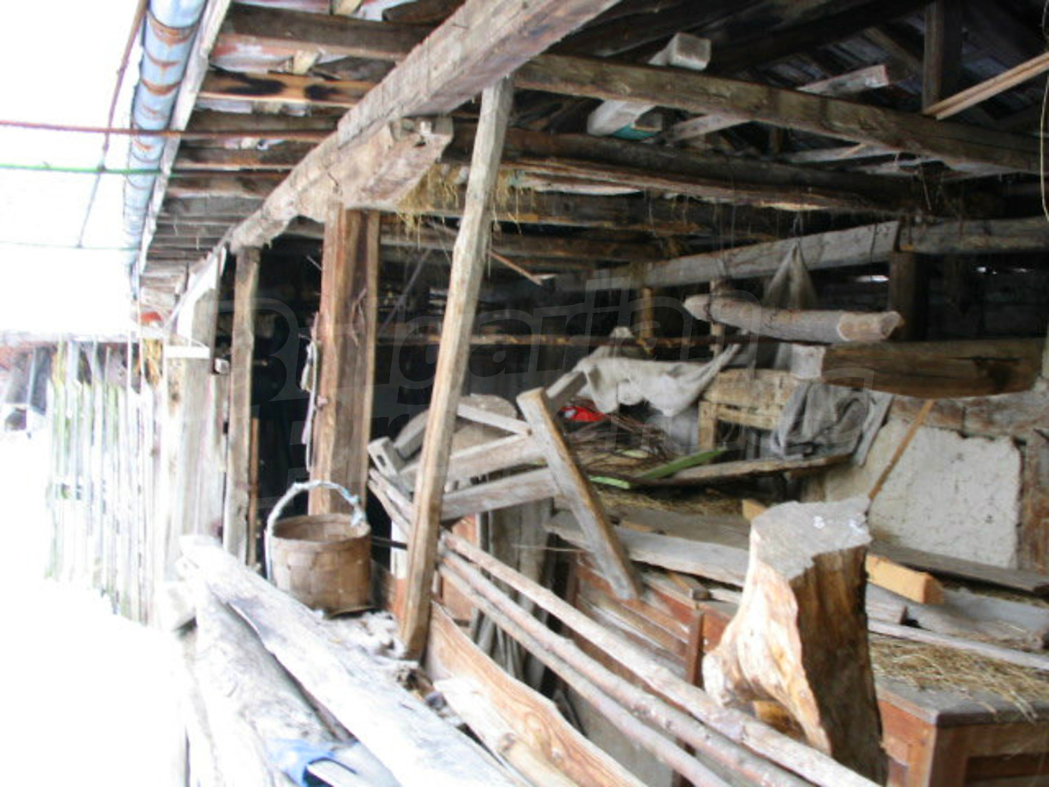 Gallery Picture 33