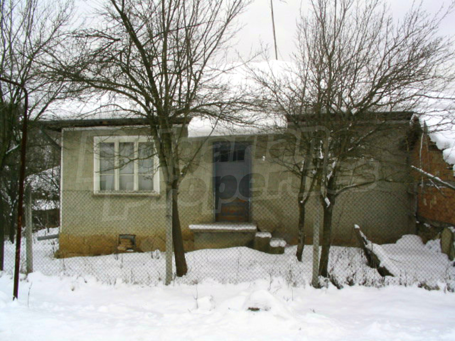 Gallery Picture 34