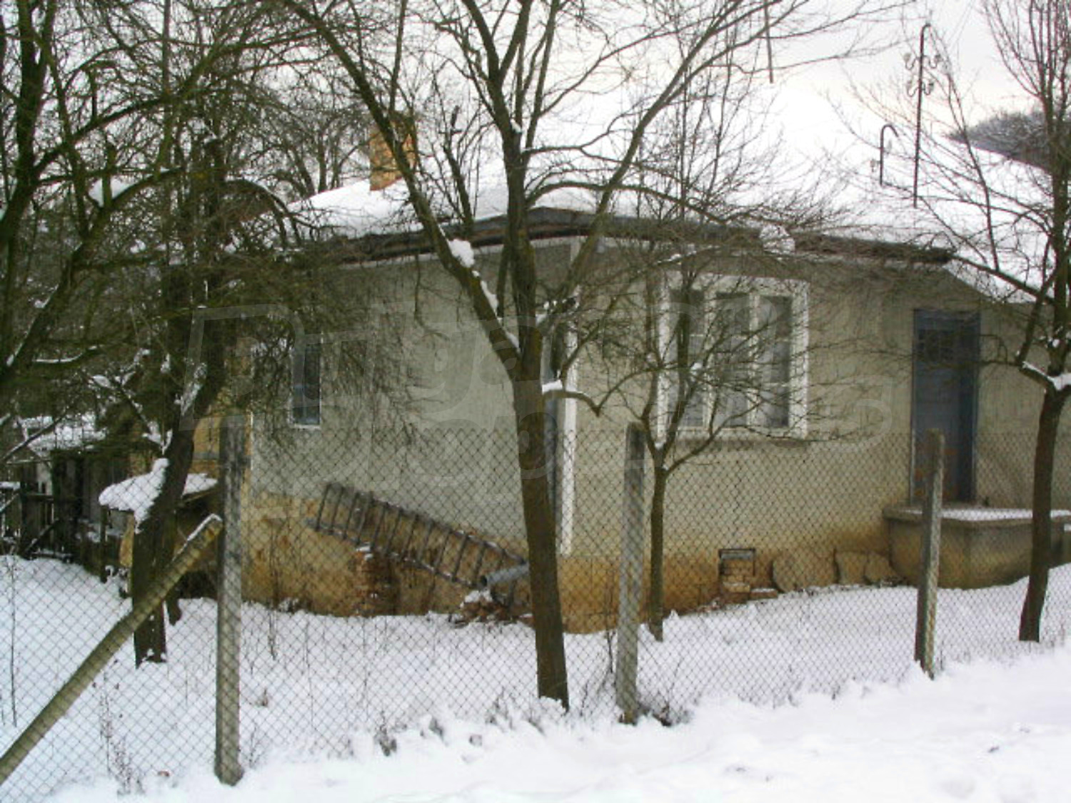 Gallery Picture 35