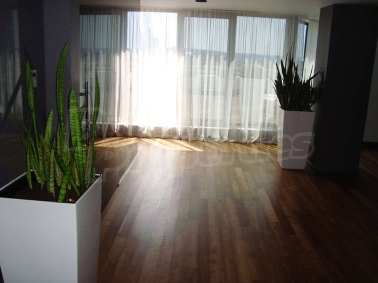 Gallery Picture 6