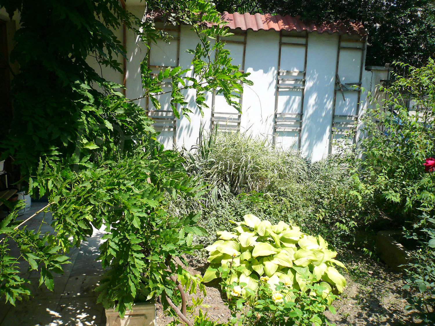 Gallery Picture 26