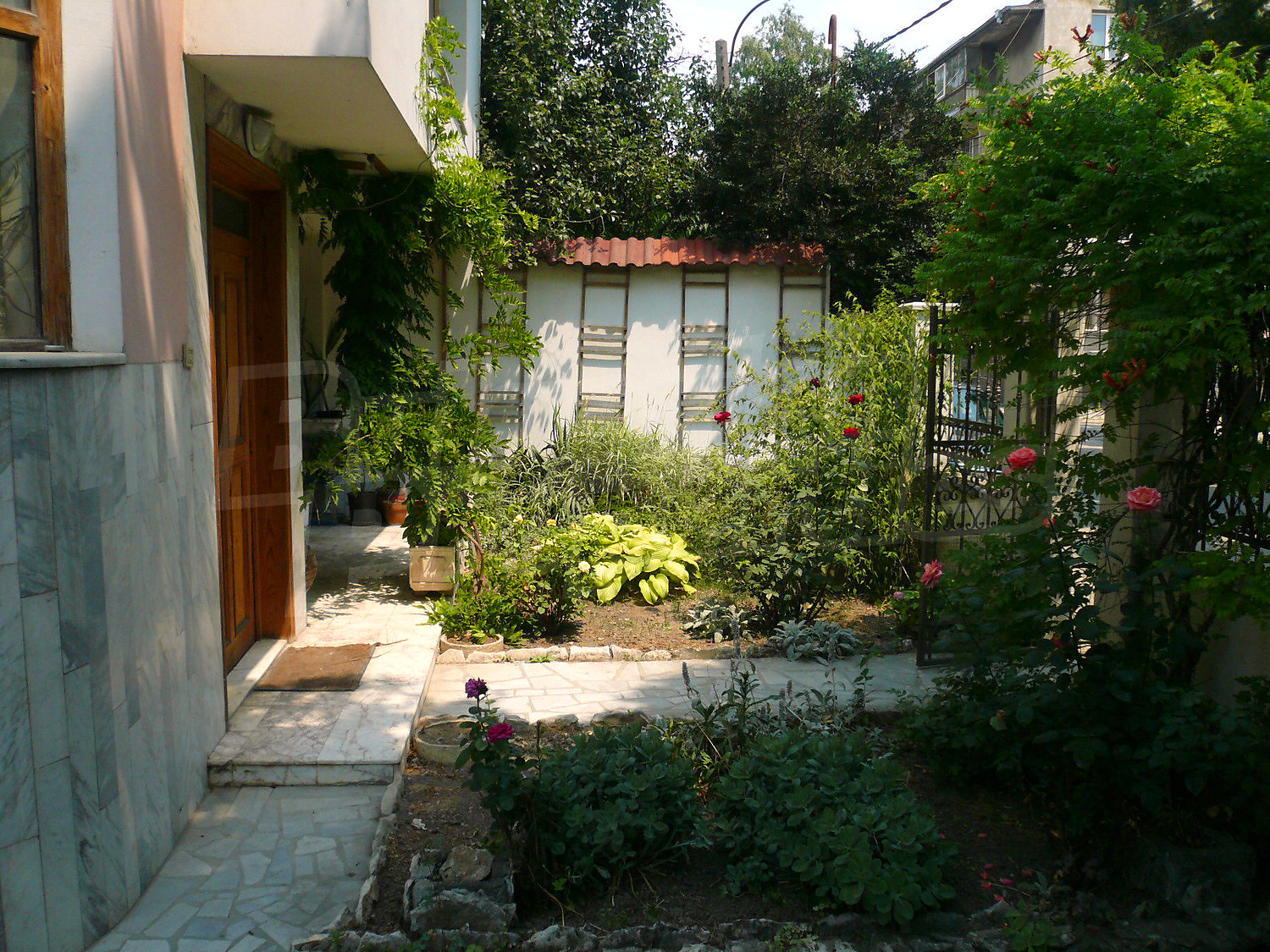 Gallery Picture 28