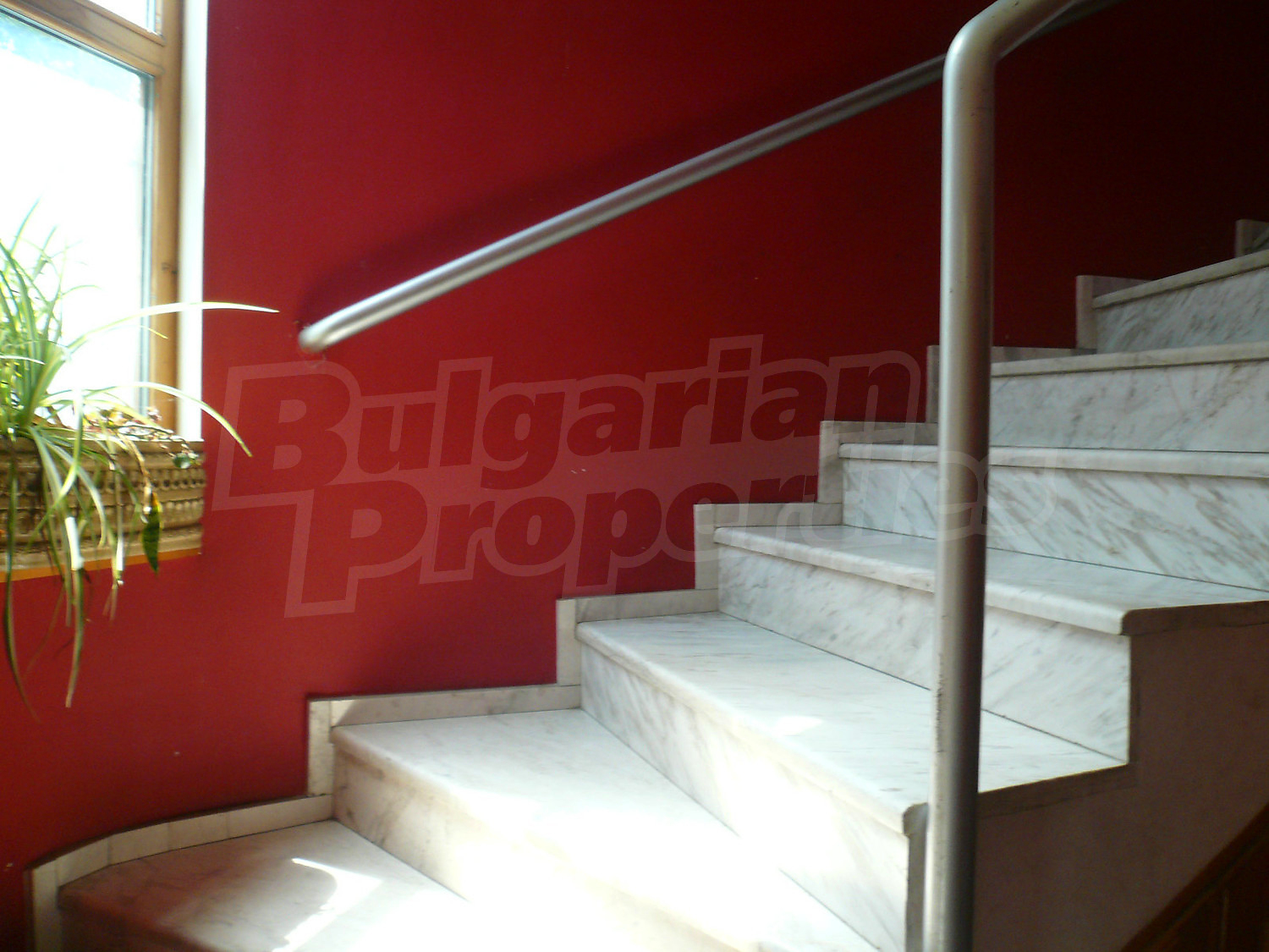 Gallery Picture 6