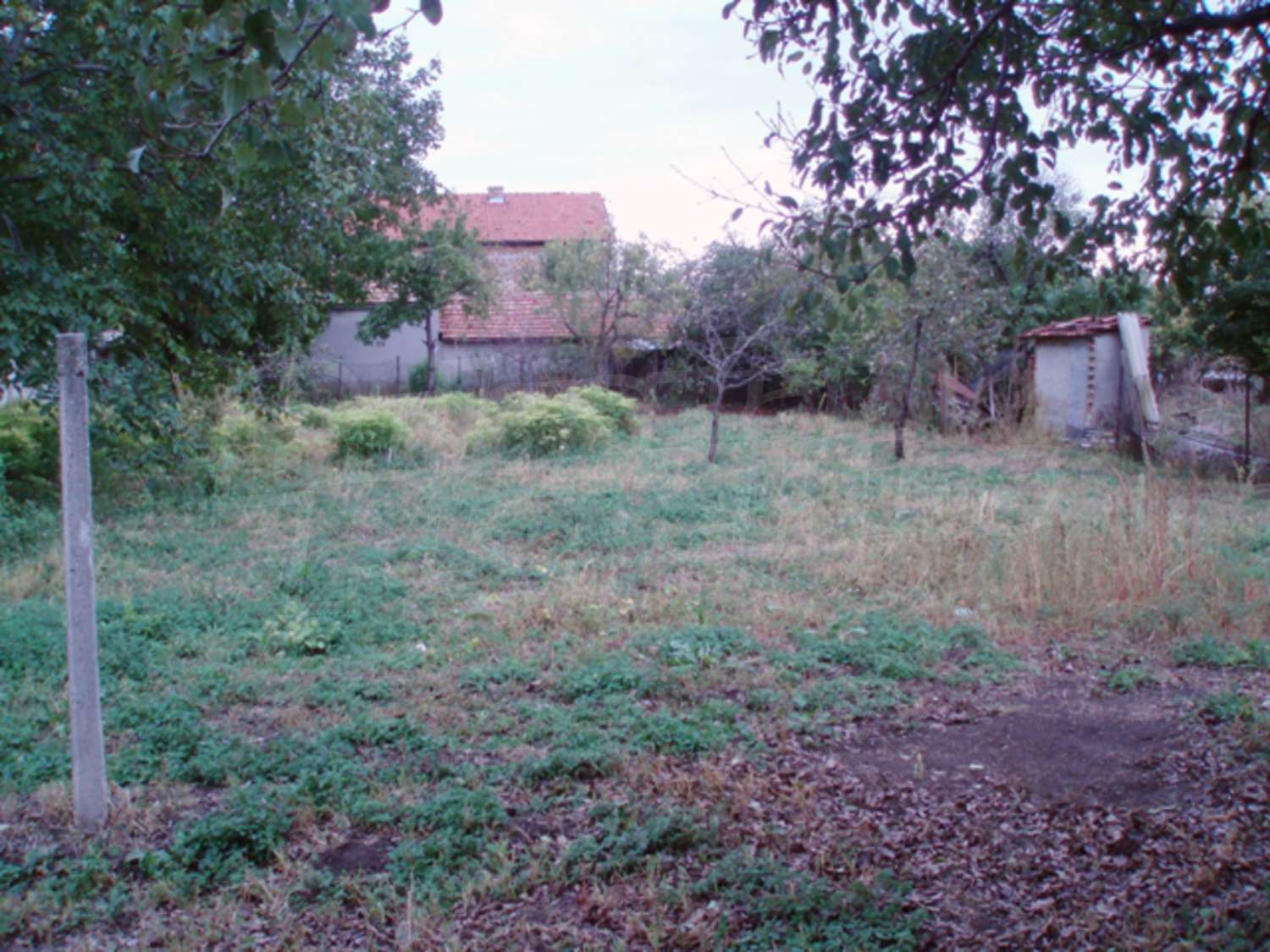 Gallery Picture 9