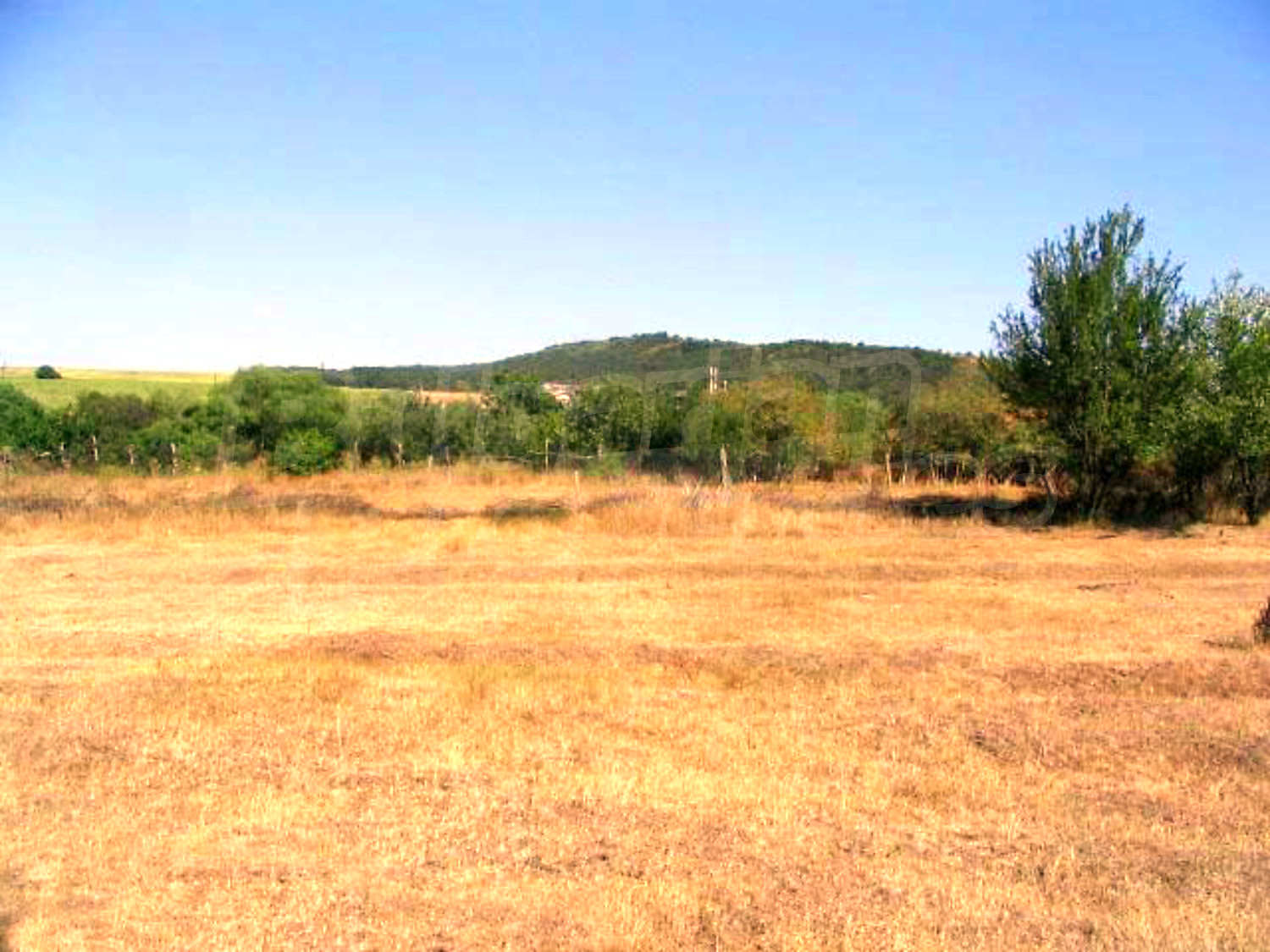 Gallery Picture 6
