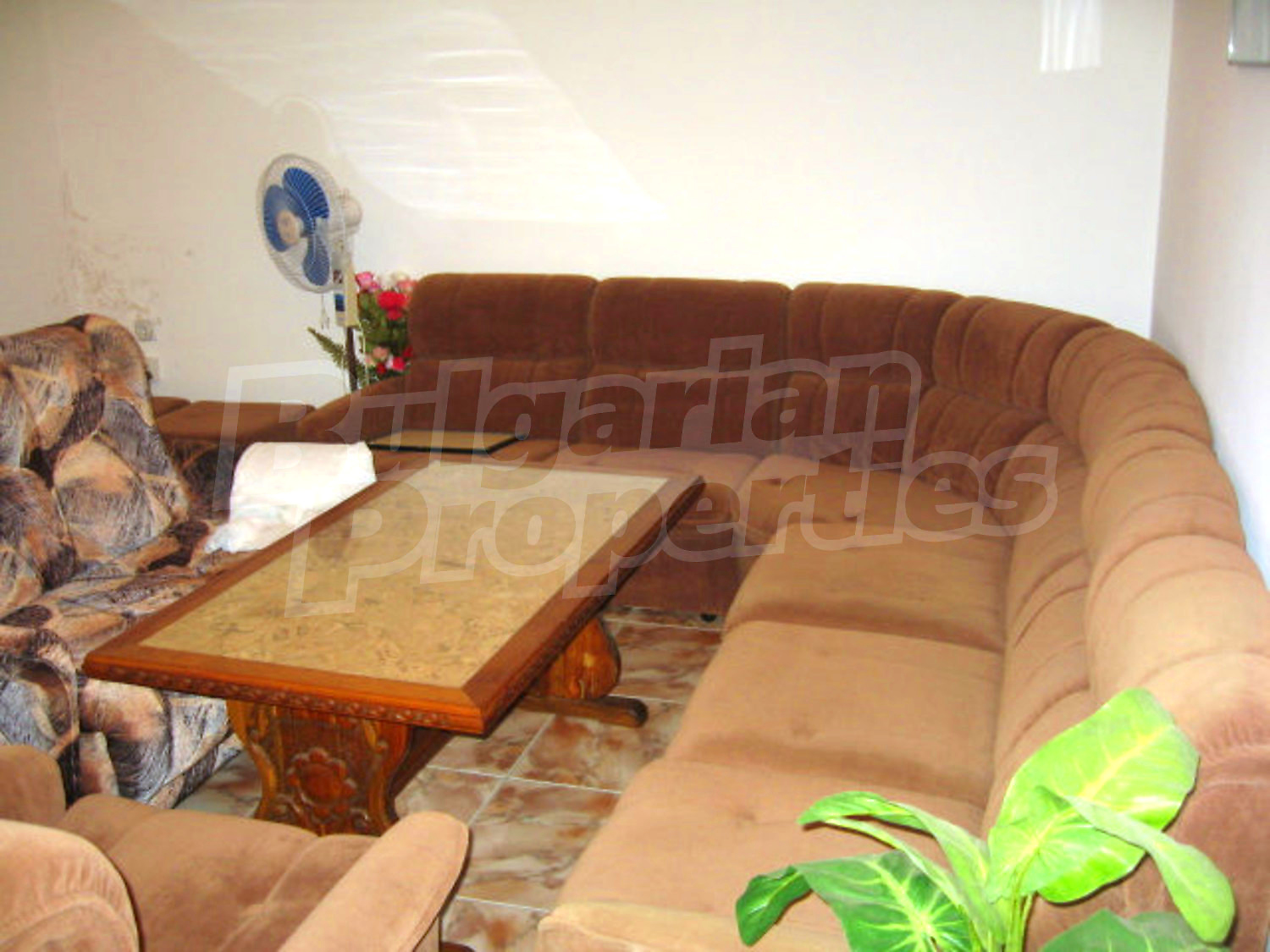 Gallery Picture 10