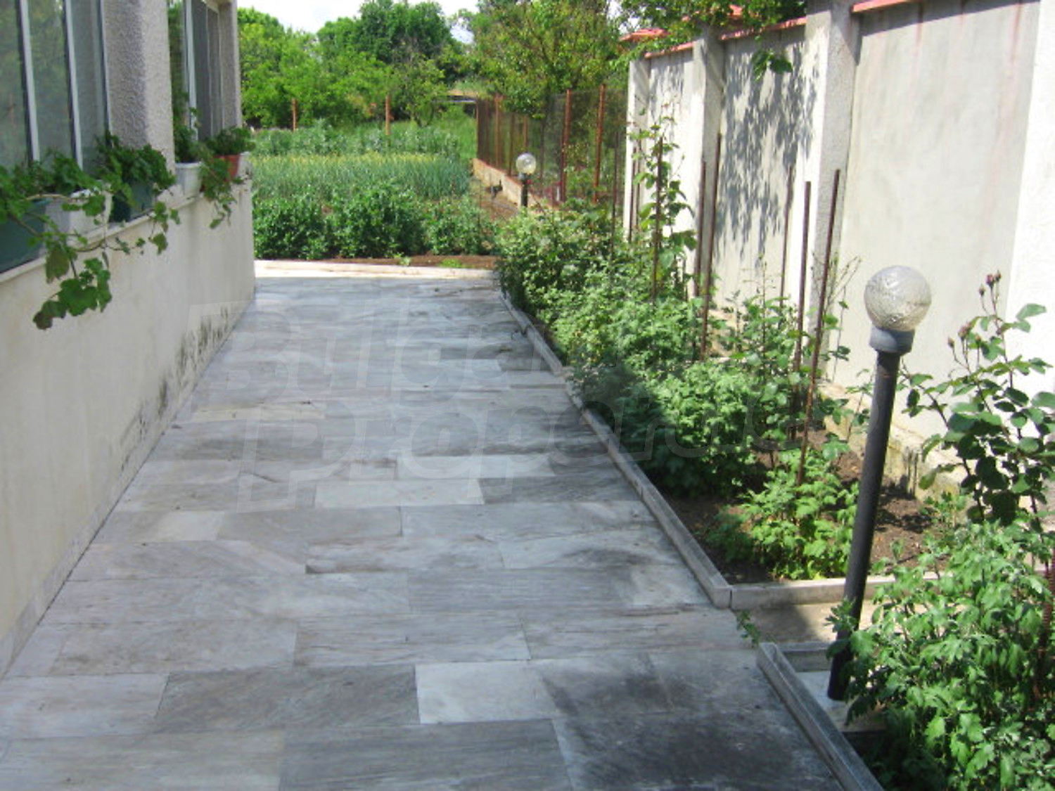 Gallery Picture 16