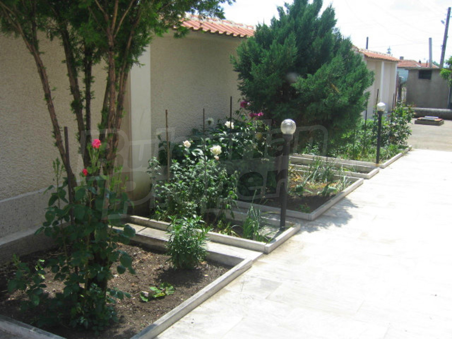 Gallery Picture 19