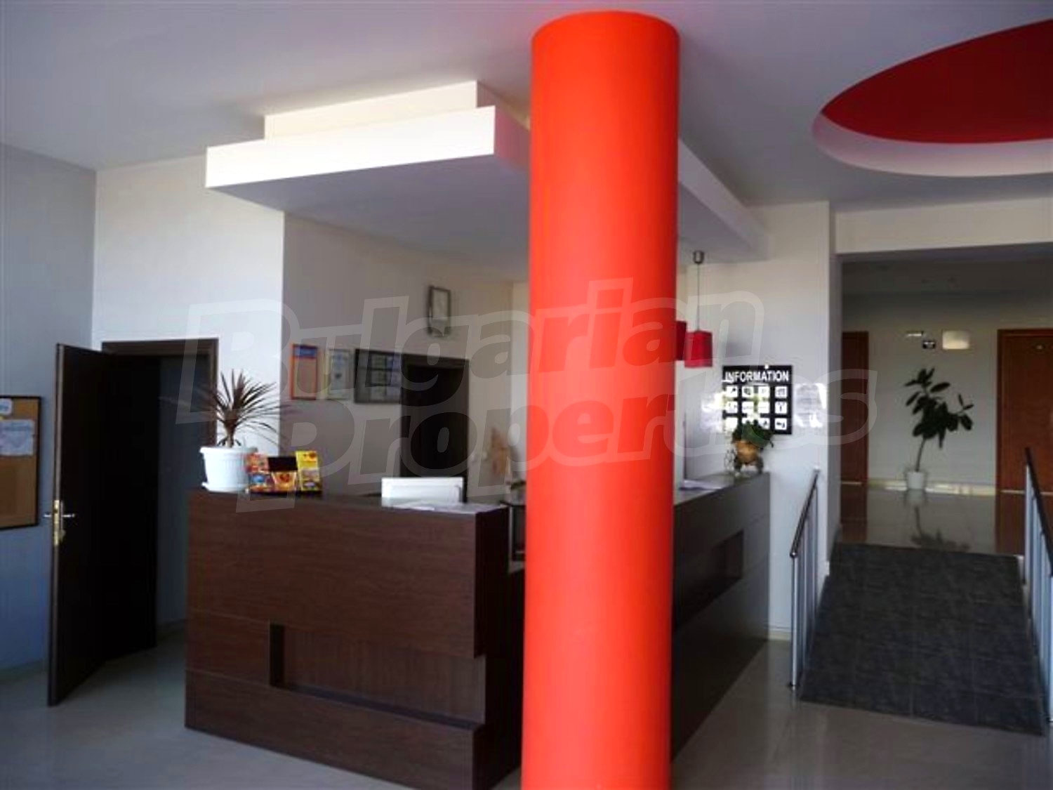 Gallery Picture 7