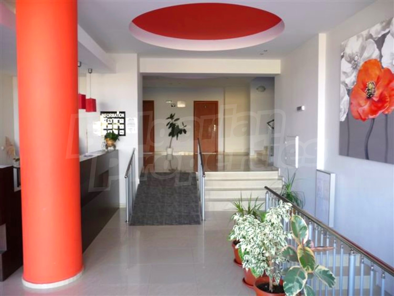 Gallery Picture 8