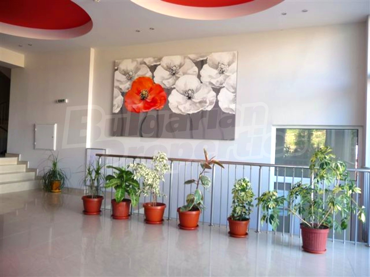 Gallery Picture 9