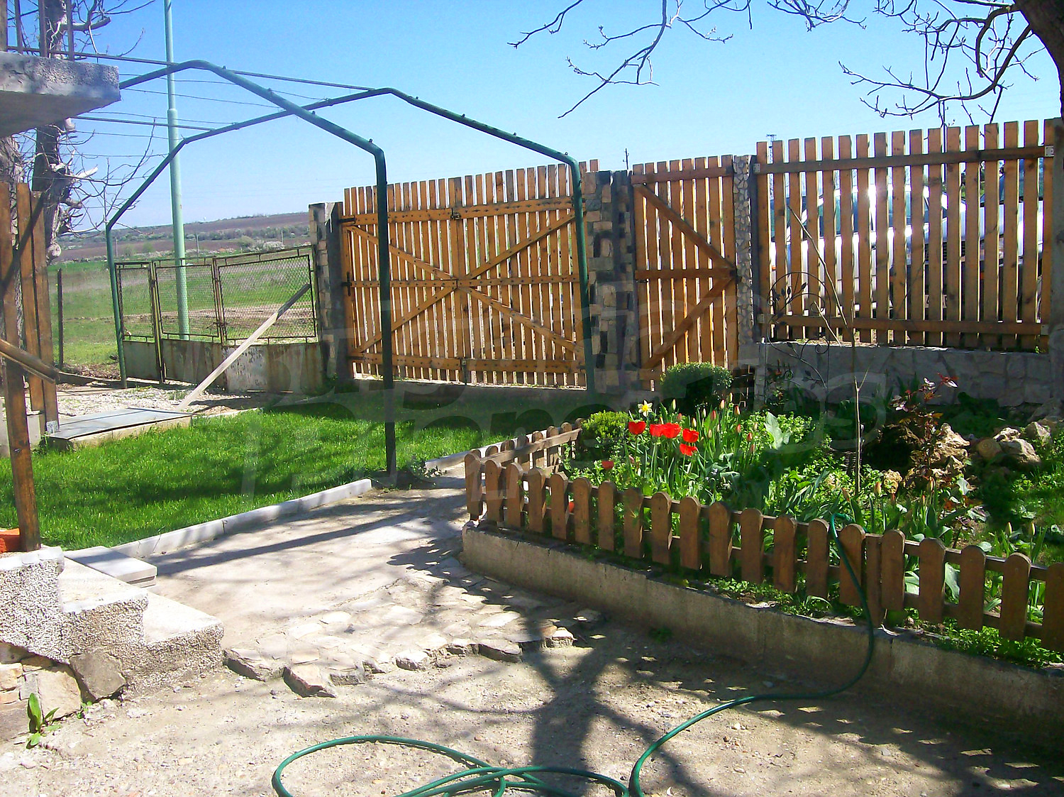 Gallery Picture 14