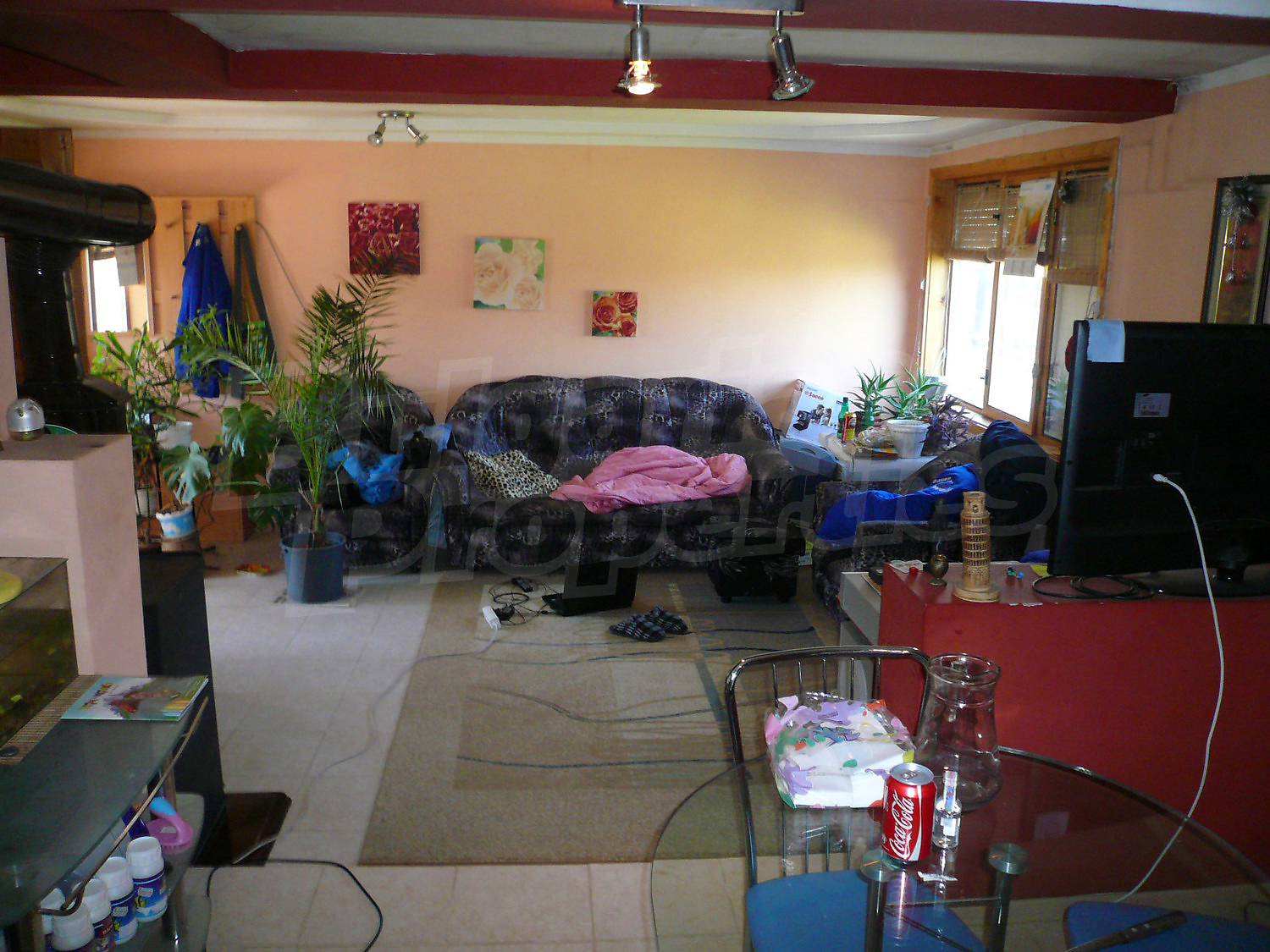Gallery Picture 23