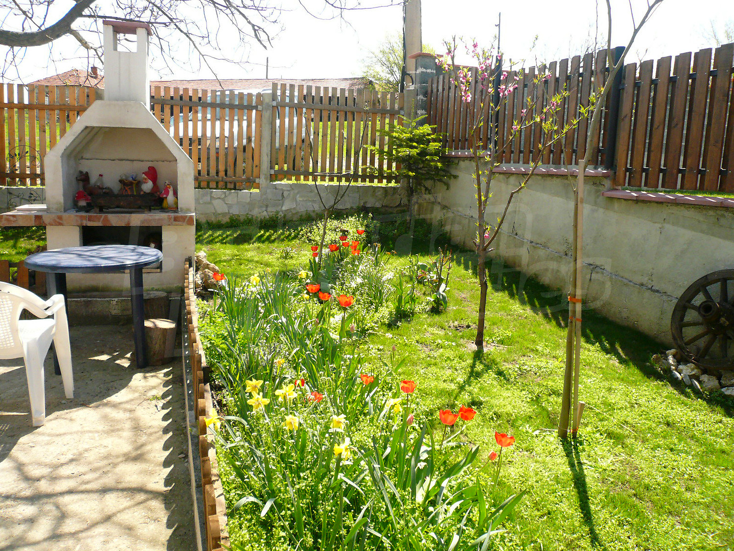 Gallery Picture 32