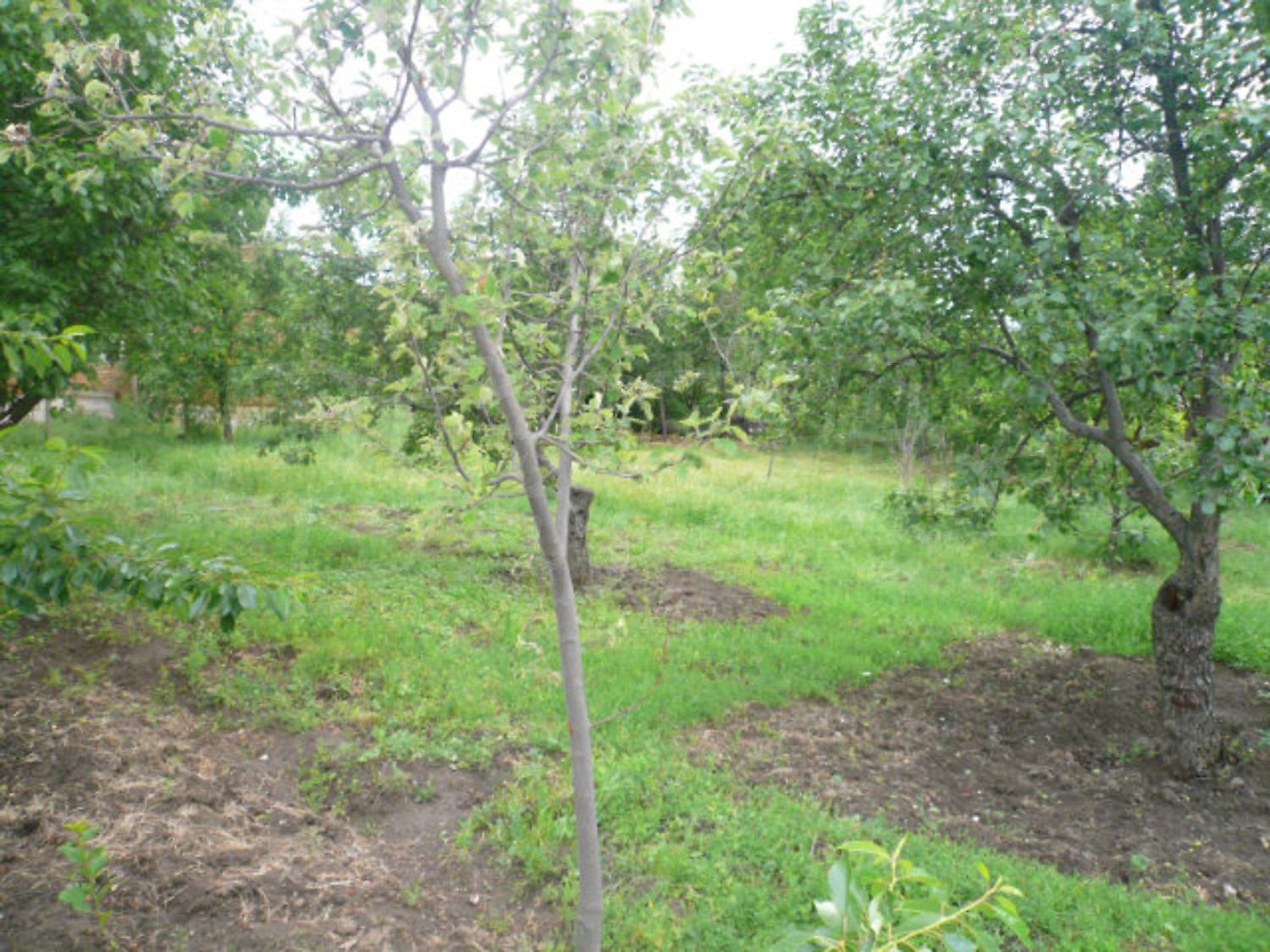 Gallery Picture 14