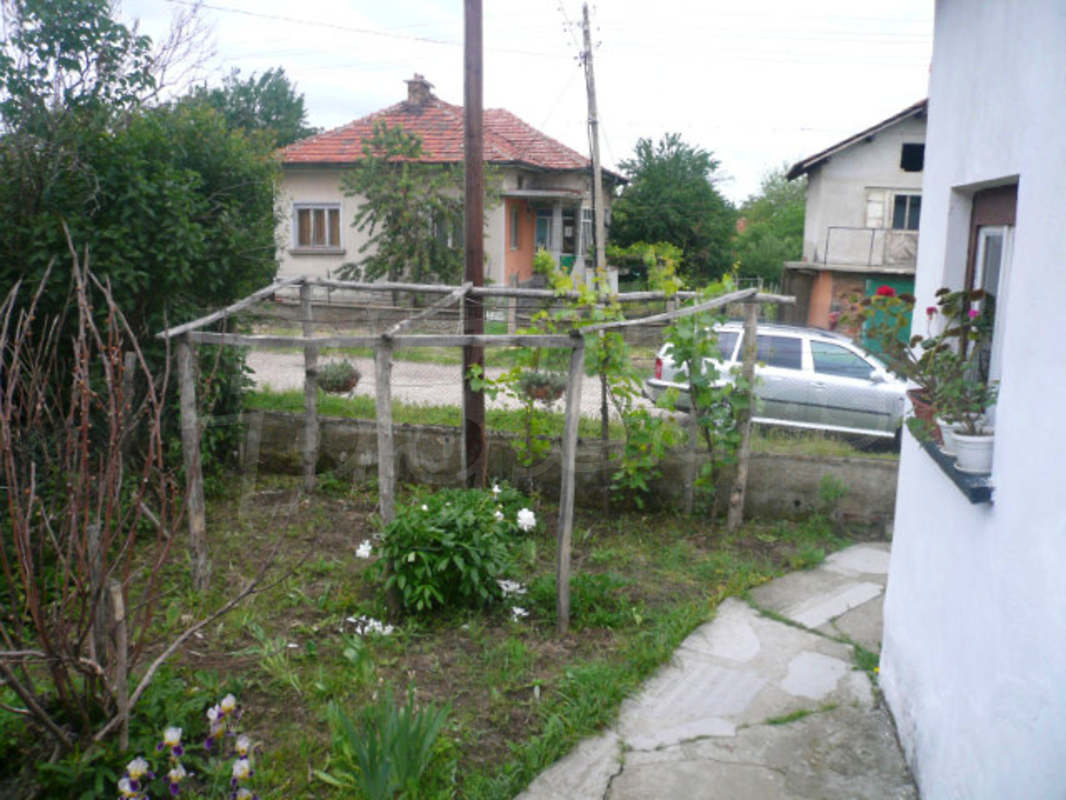 Gallery Picture 15