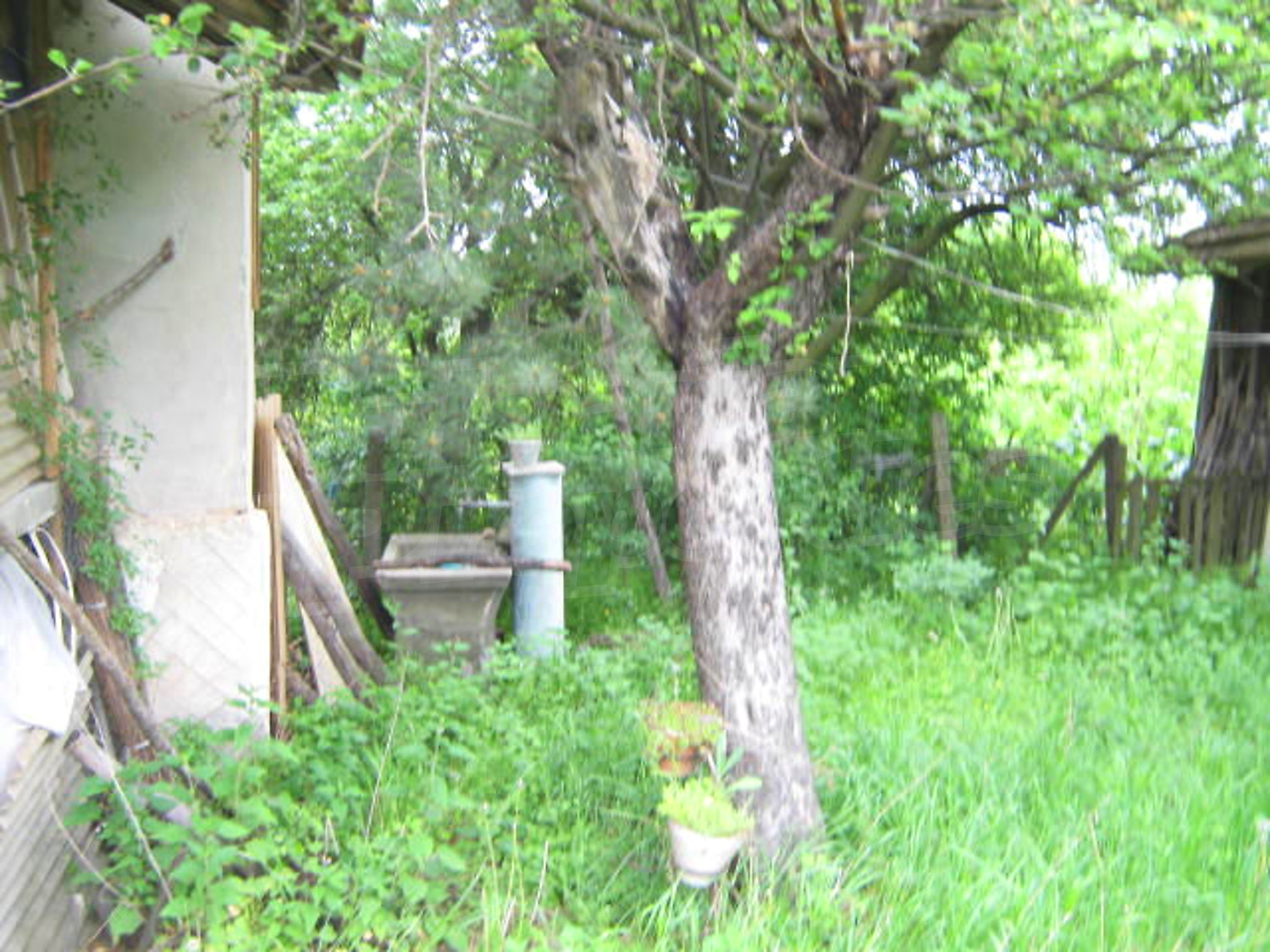 Gallery Picture 10